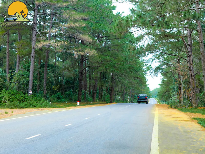 Từ Sân Bay Pleiku Đi Măng Đen Bao Nhiêu Km