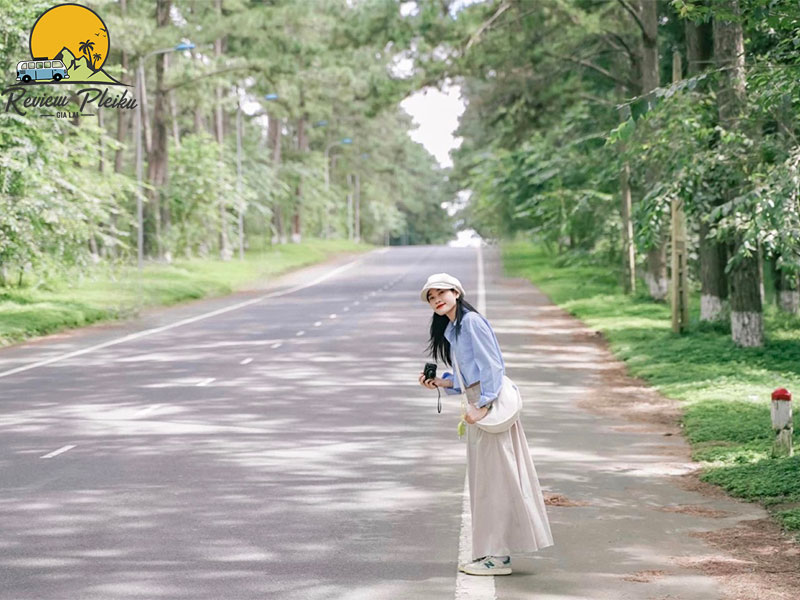 Rừng Măng Đen – Tài sản vô giá của thiên nhiên Kon Tum