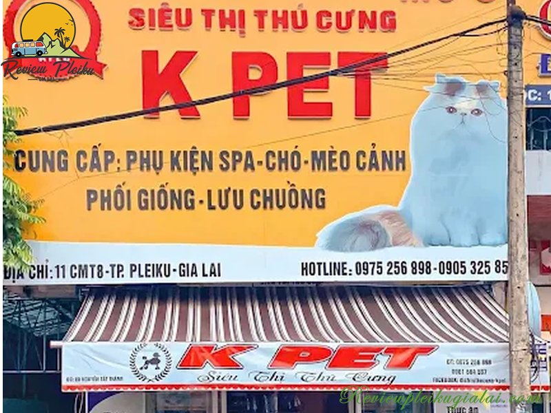 Top 5 cửa hàng thú cưng Gia Lai