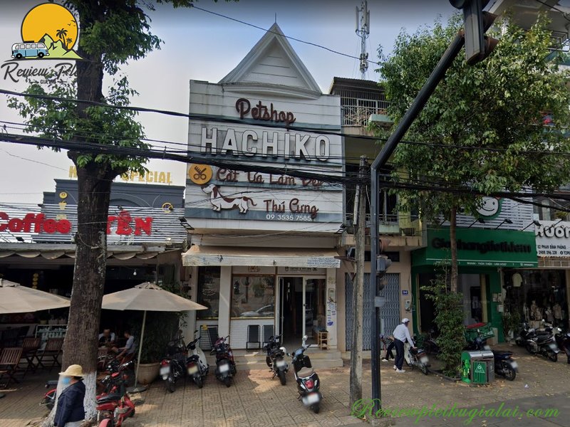 Top 5 cửa hàng thú cưng Gia Lai chất lượng