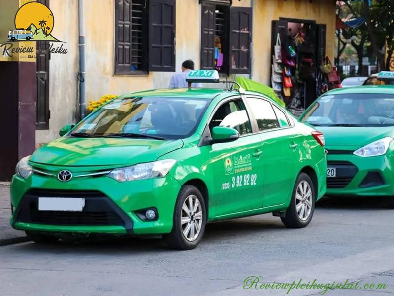 Top 5 hãng taxi Mang Yang