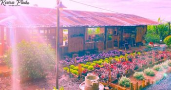 Top 5 quán cafe ngắm bình minh ở Gia Lai