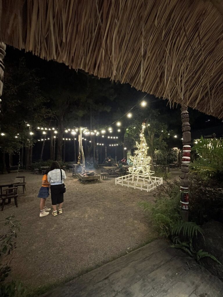 Gia Lai Mùa Đẹp Nhất Trong Năm – Hoa Dã Qùy Núi Lữa Chư Đăng Ya – Gà Nướng Cơm Lam