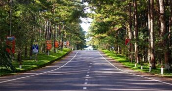 Hàng thông trăm tuổi Măng Đen