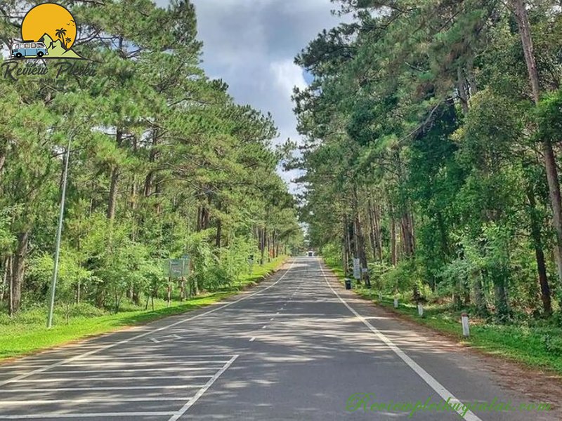 Số điện thoại xe buýt Kon Tum -- Măng Đen