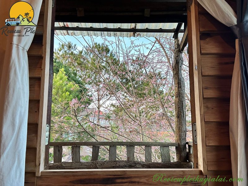 Sun Homestay Măng Đen