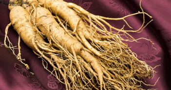 Đặc sản Măng Đen mua về làm quà ý nghĩa cho người thân Đặc sản Măng Đen mua về làm quà