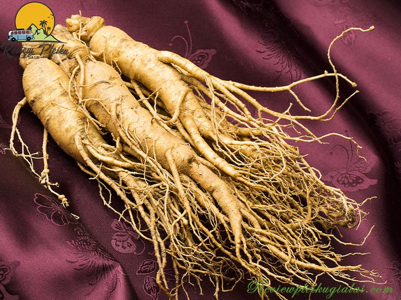 Đặc sản Măng Đen mua về làm quà