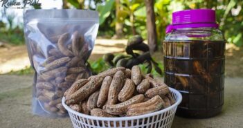 Măng Đen có đặc sản gì? Trải nghiệm khám phá Măng Đen Măng Đen có đặc sản gì?