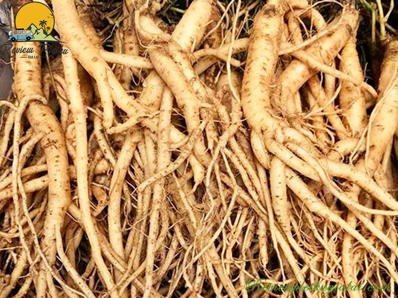 Chợ phiên Măng Đen cuối tuần