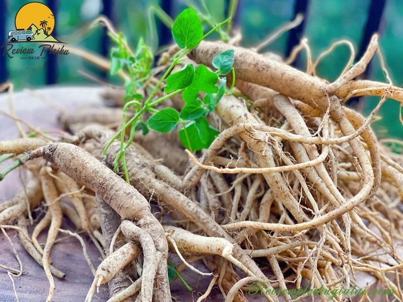 Đặc sản Măng Đen Kon Tum nổi tiếng nhất