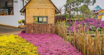 Địa chỉ vườn hoa Măng Đen