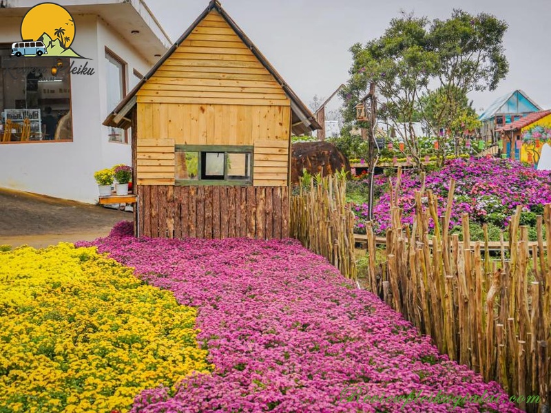 Địa chỉ vườn hoa Măng Đen