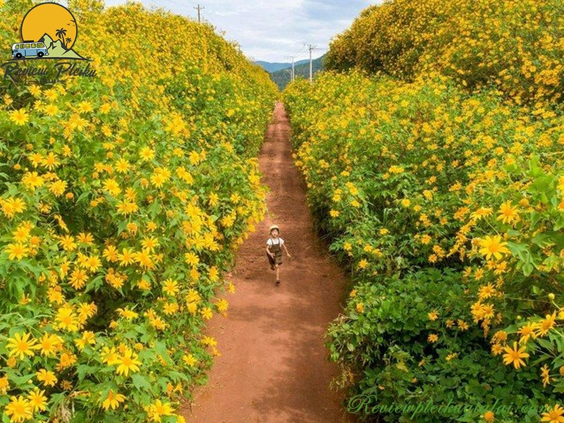 Du lịch Măng Đen mùa nào đẹp?