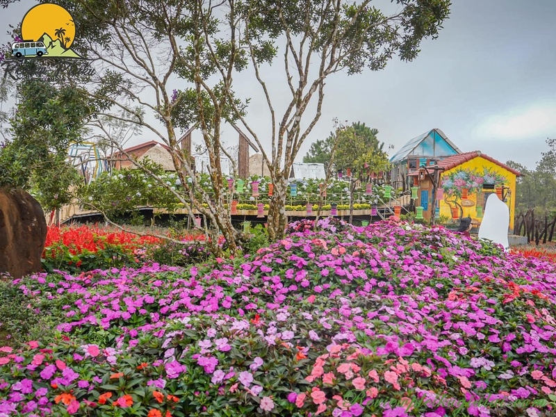 Đường đi vườn hoa Măng Đen