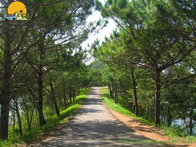 Lịch trình du lịch Măng Đen 2 ngày 1 đêm