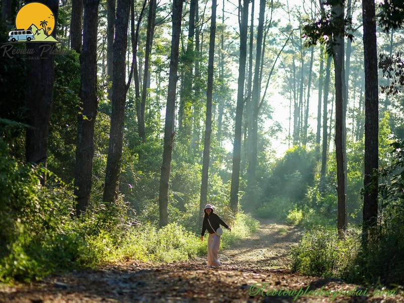 Lịch trình du lịch Măng Đen 3 ngày 2 đêm