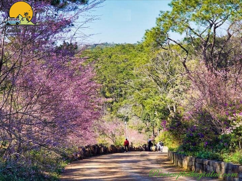 Lưu ý khi đi Măng Đen