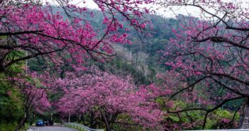 Nên đi Măng Đen lúc nào?