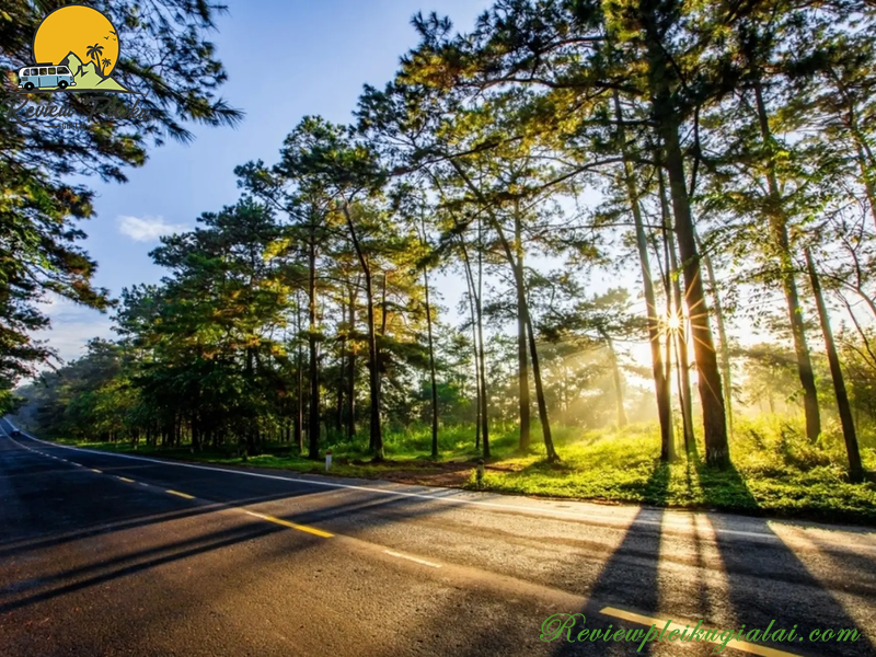 Nghỉ dưỡng Măng Đen