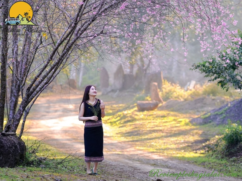 Thời điểm đẹp nhất đi vườn hoa Măng Đen