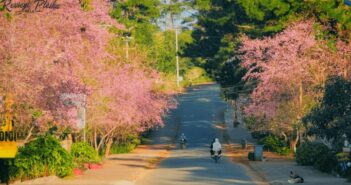 Vườn hoa Măng Đen mùa nào đẹp