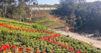 Vườn hoa Măng Đen ở đâu?