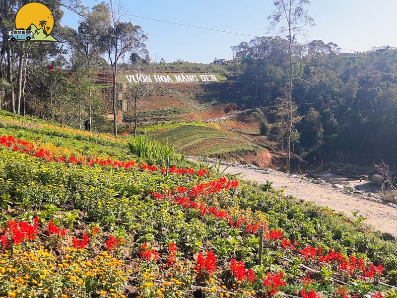 Vườn hoa Măng Đen ở đâu?