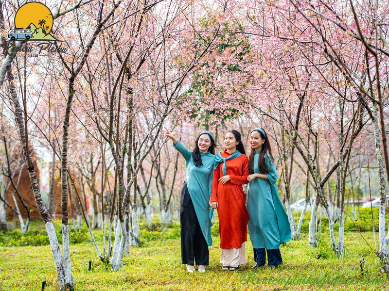 Vườn hoa Măng Đen tháng mấy đẹp?