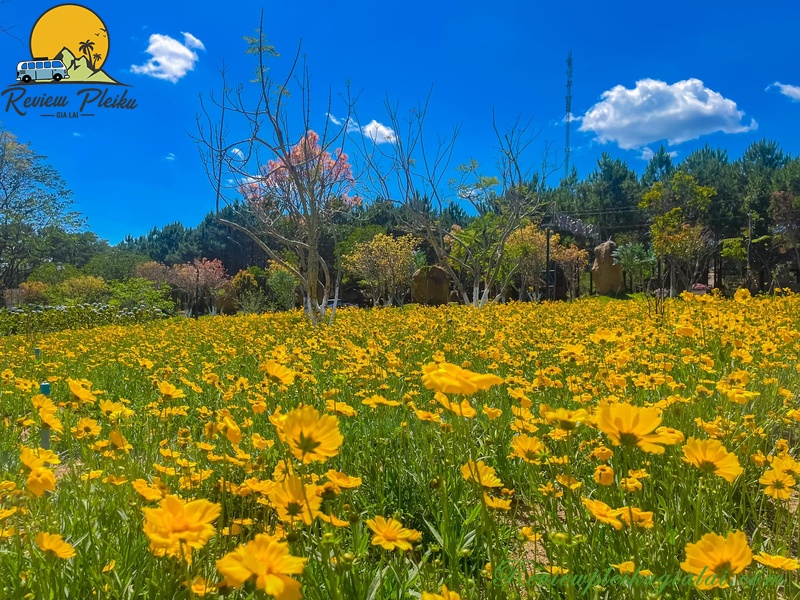 Vườn hoa Măng Đen tháng mấy đẹp?