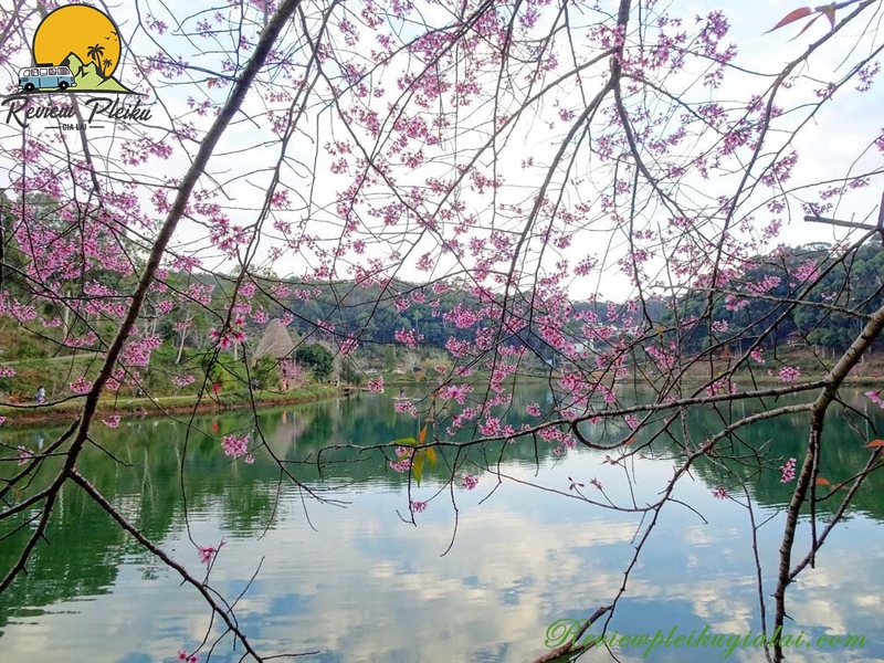 Hồ Đăk Ke Măng Đen có mất vé không?